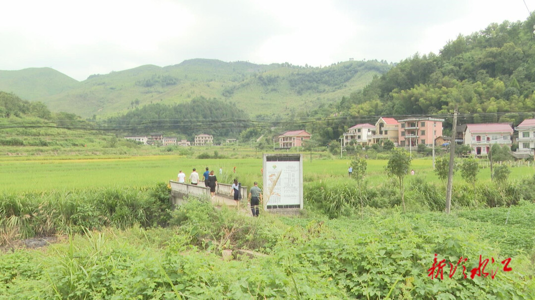 走進鄉村看小康丨鐵山村：特色產業旺  村民日子甜