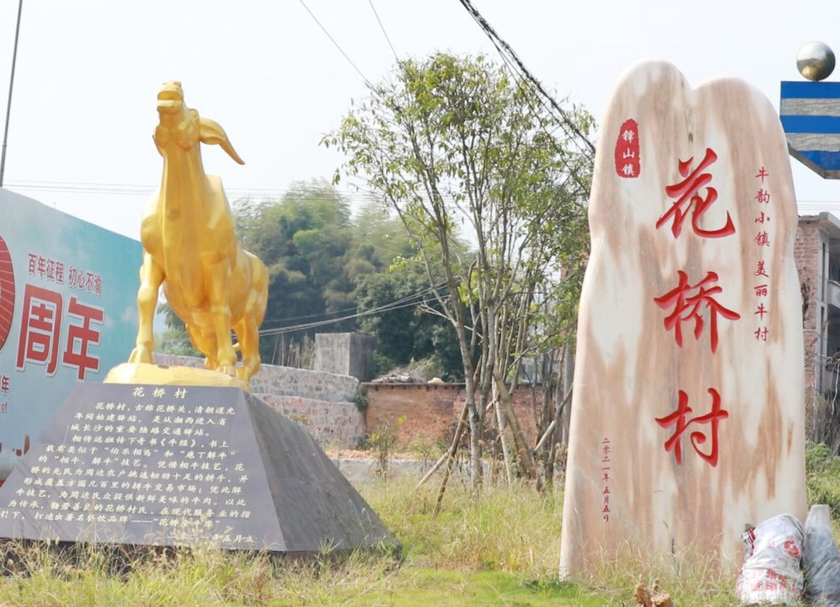 沿著高速看婁底 | 花橋村：發(fā)展“牛經濟”  過上“牛”日子