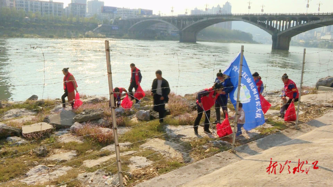 團(tuán)市委組織開展巡河凈灘志愿服務(wù)活動