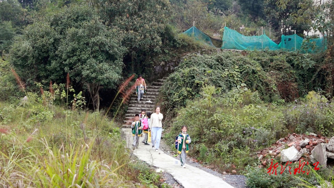 有事您說話|銻都實驗學校上千學生上下學乘車難題盼解決