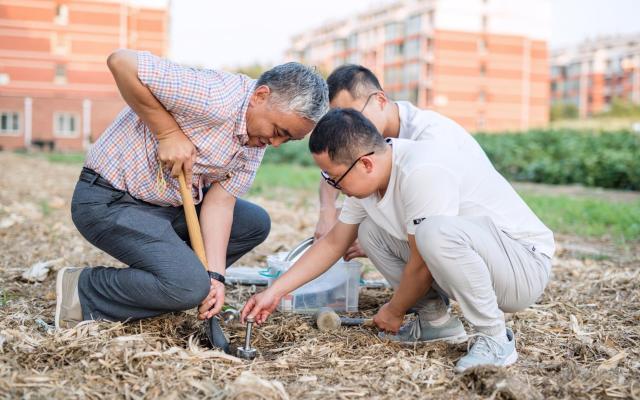 我國鹽堿地改良已步入產(chǎn)能提升和生態(tài)保護相結(jié)合新階段