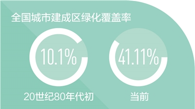 175億人次累計義務植樹781億株 40年 凝聚義務植樹的全民力量