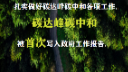 【圖解】“雙碳”工作年終總結(jié)：“開局年”減碳，中國認(rèn)真的