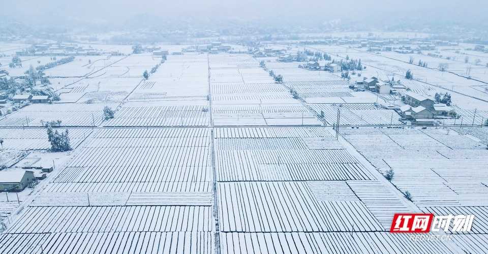 頻繁出現(xiàn)的雪花讓冬季氛圍感拉滿，為何湖南今年降雪特別多？