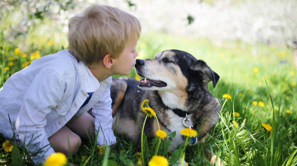 孩子被動物致傷怎么辦？防護(hù)錦囊請收好