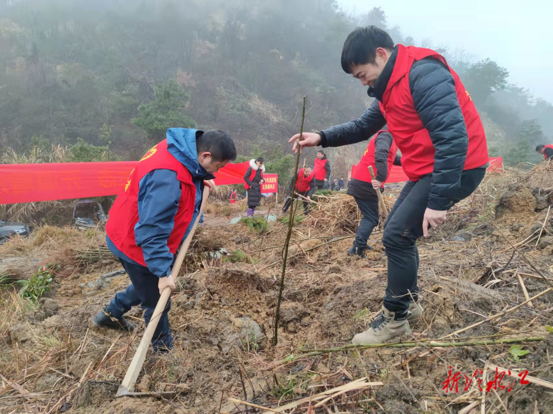 渣渡鎮(zhèn)踐行“兩山”理論  走綠色發(fā)展道路