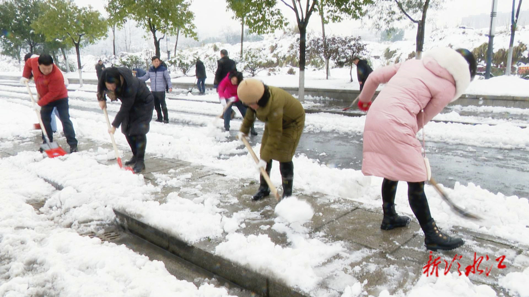 应对低温雨雪天气  市政协开展扫雪除冰活动