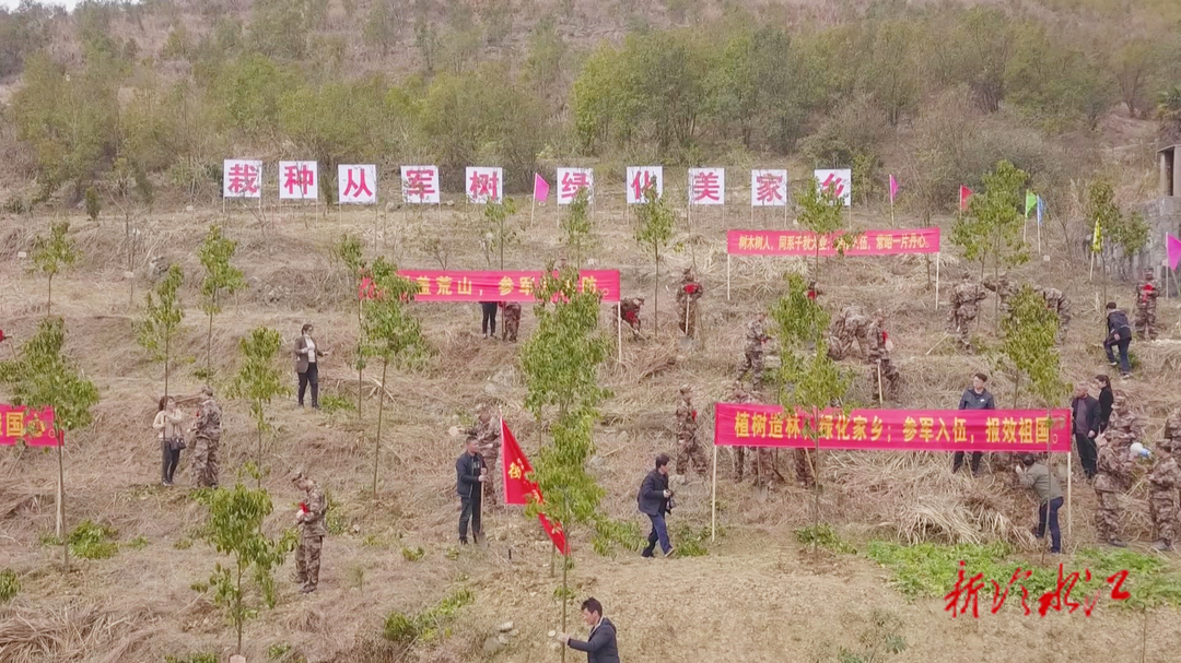 我市舉行2022年春季定兵役前教育活動(dòng)  栽下從軍樹(shù)  種下報(bào)國(guó)心