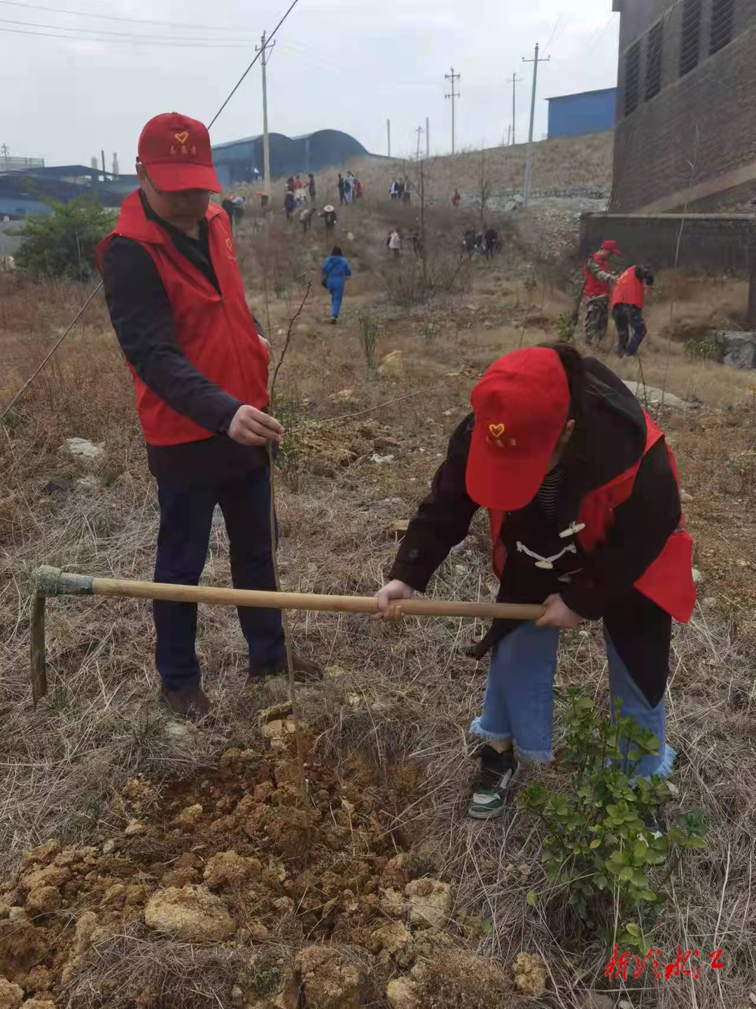 冷水江市：社會各界踴躍參與植樹造林生態(tài)保護(hù)