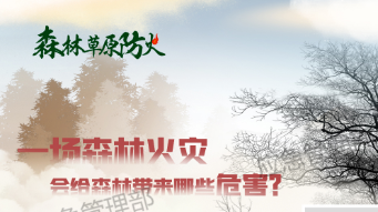 森林草原防火季 | 圖說：一場森林火災(zāi)，會給森林帶來哪些危害？