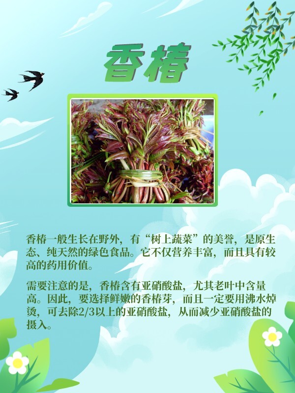 這些野菜是春天的味道