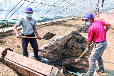 氣象“良方”護航黑土糧倉