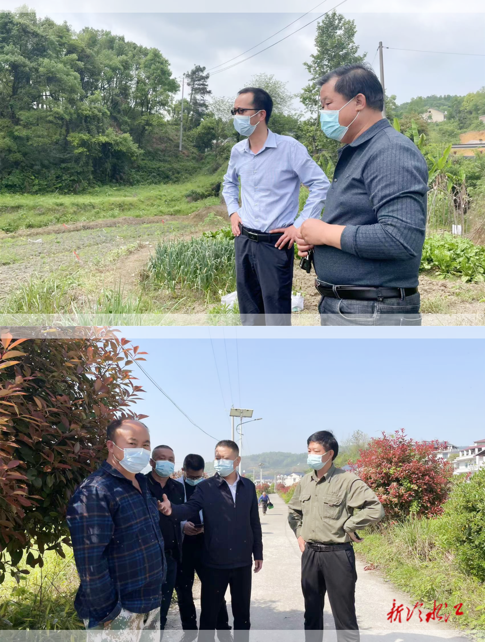 又是一年春耕時:鐸山鎮(zhèn)嚴(yán)守耕地紅線、保障糧食安全