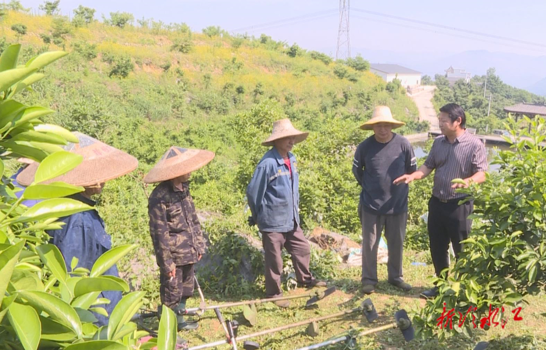 建功新時代 奮進新征程·勞模風采（二） 陳陸軍：深耕荒山的筑夢人