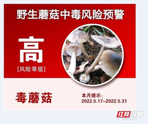 湖南發布首條“野生蘑菇中毒預警”：梅雨季是中毒高發季