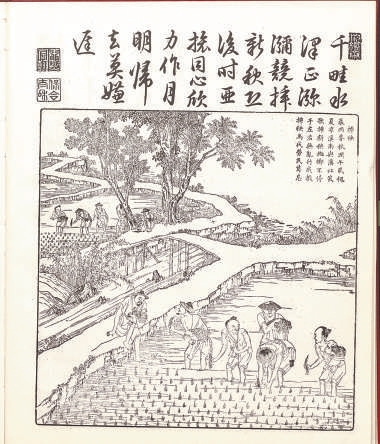“稼穡蓬勃、馳而不息”，芒種是一個(gè)種、收兩頭都忙的節(jié)氣