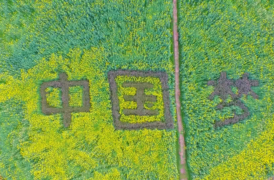 《普利橋種糧記》春耕篇 第一集 瓜蔞改種稻 一石激起千層浪