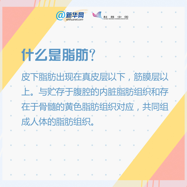 科普|你的體脂率是什么水平？