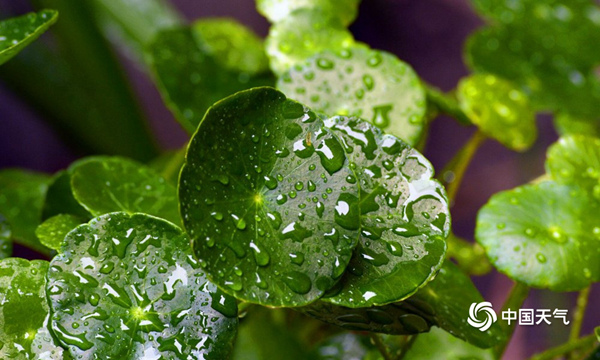 川渝陜等地降雨持續(xù)需防旱澇轉(zhuǎn)換 南方高溫天氣過(guò)程明將結(jié)束