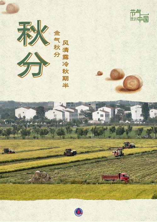 節氣里的中國丨秋分：品味收獲的美好