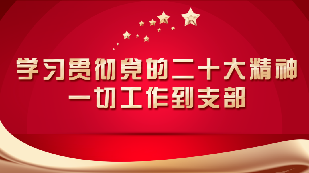  學習貫徹黨的二十大精神“一切工作到支部”