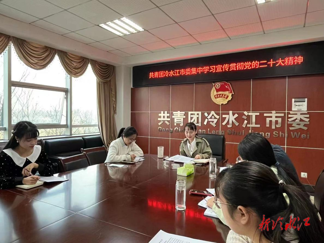 團市委專題學習黨的二十大精神