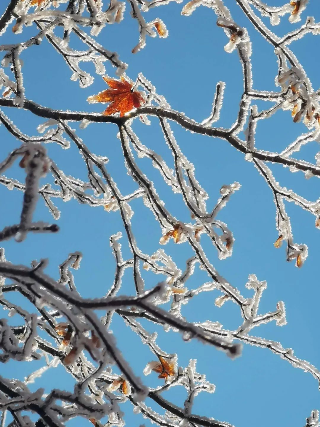 一天暴降17℃！南方熟悉的濕冷要來了