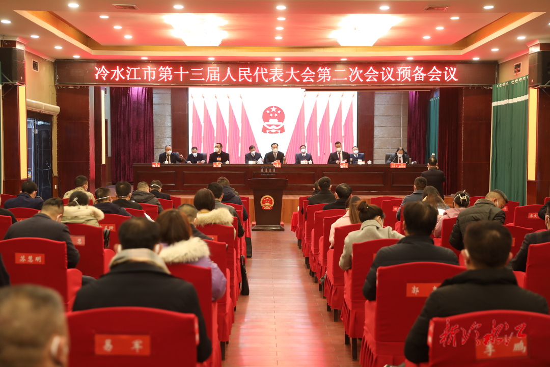 快訊！冷水江市第十三屆人民代表大會第二次會議順利開幕！