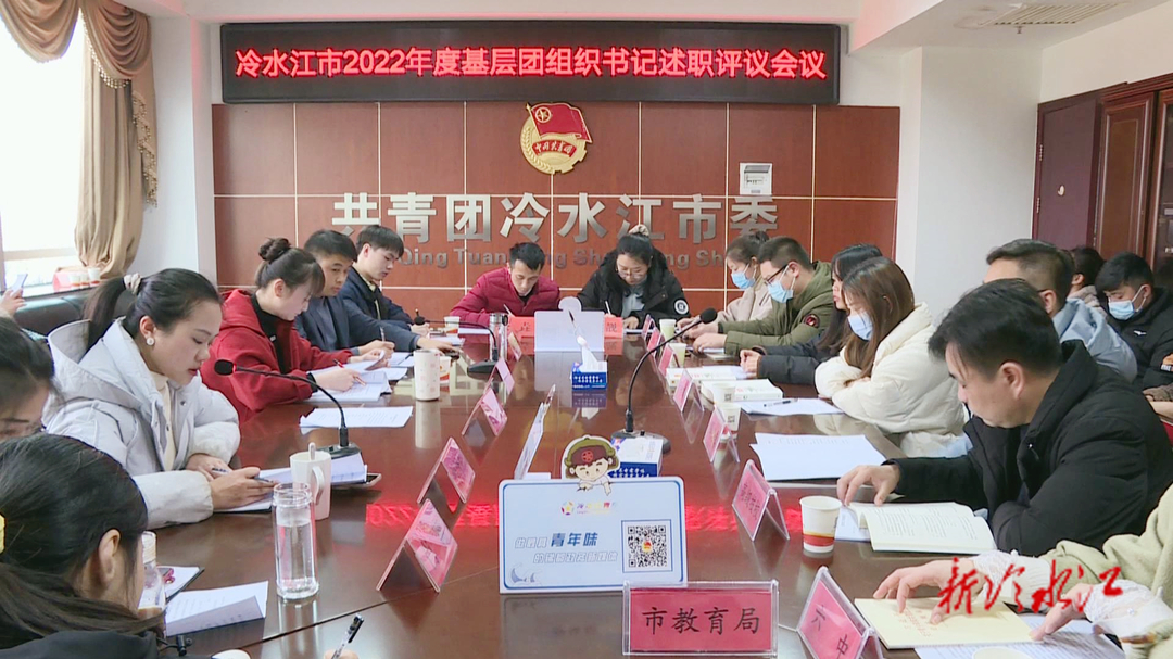 團市委召開2022年度基層團組織書記述職評議會