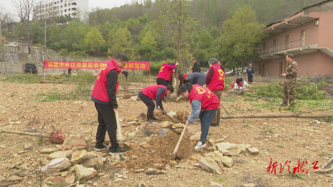 民建冷水江市基層委員會開展義務(wù)植樹活動