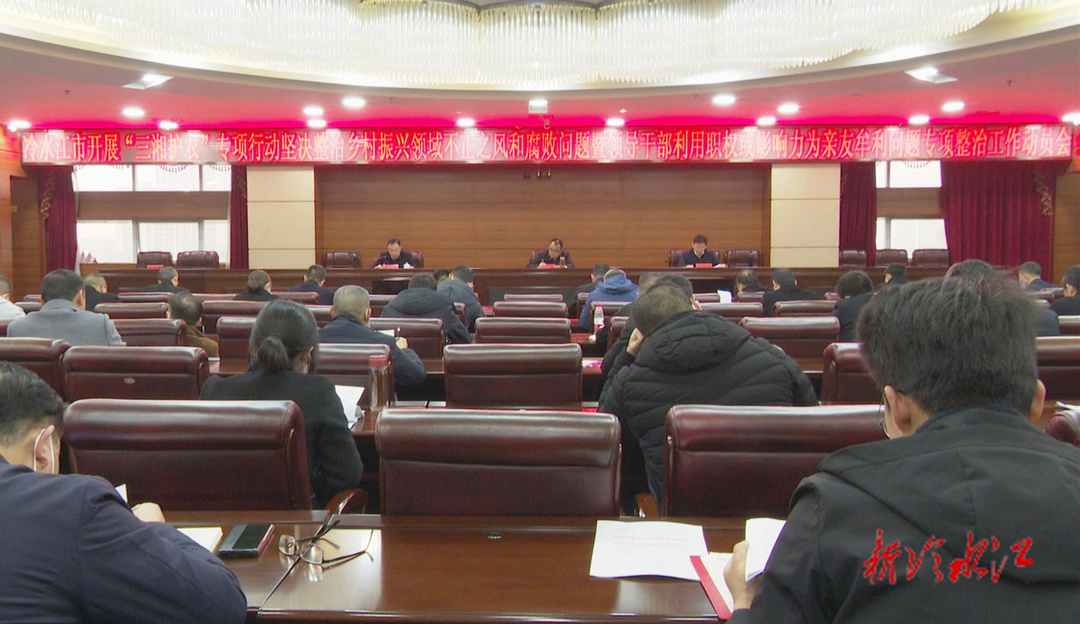 冷水江市“三湘护农”专项行动动员会召开