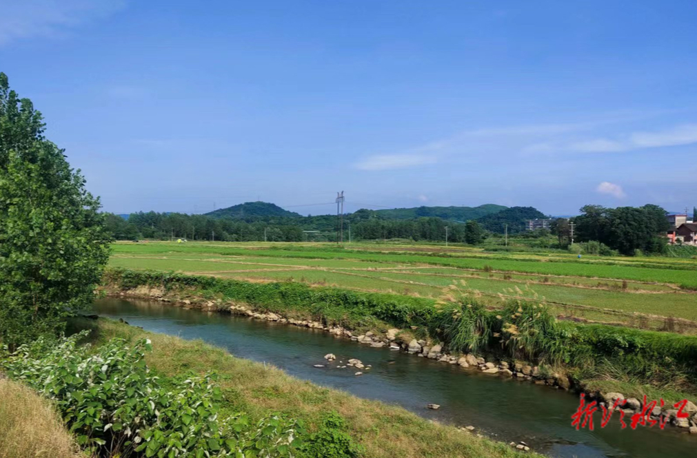 禾青鎮(zhèn)楊坪村：小丘改大丘 荒田變良田