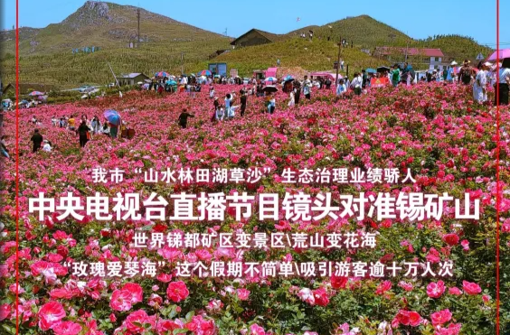 （5月9日）第1126期《今日冷水江》手机报