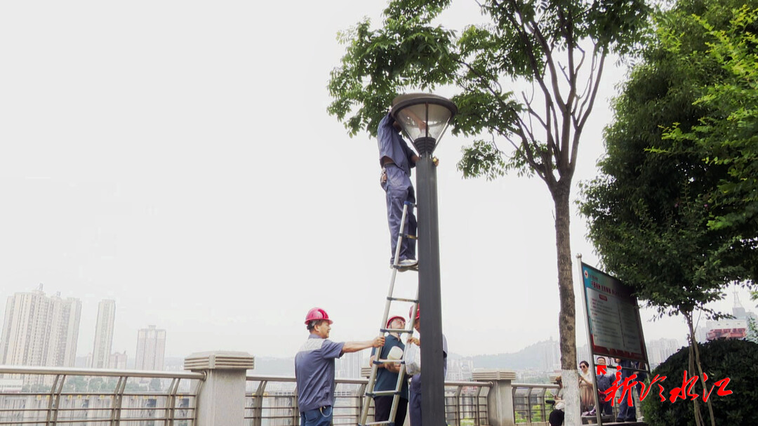 創國文在行動 | 市路燈管理所：維修路燈送明亮 文明創建再“爭光”