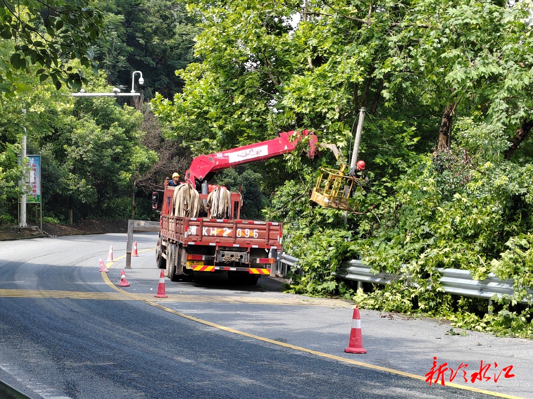 冷水江市公路建設(shè)養(yǎng)護中心：給行道樹“瘦身”護公路出行安全