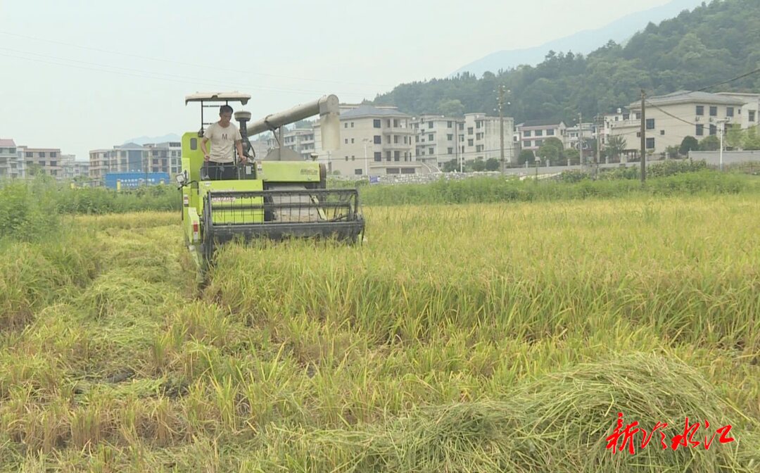 冷水江市畜農(nóng)中心：農(nóng)機安全不放松  護(hù)航“雙搶”保豐收