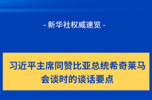 新華社權(quán)威速覽丨習(xí)近平主席同贊比亞總統(tǒng)希奇萊馬會談時的談話要點