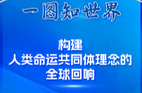 一圖知世界丨構建人類命運共同體理念的全球回響