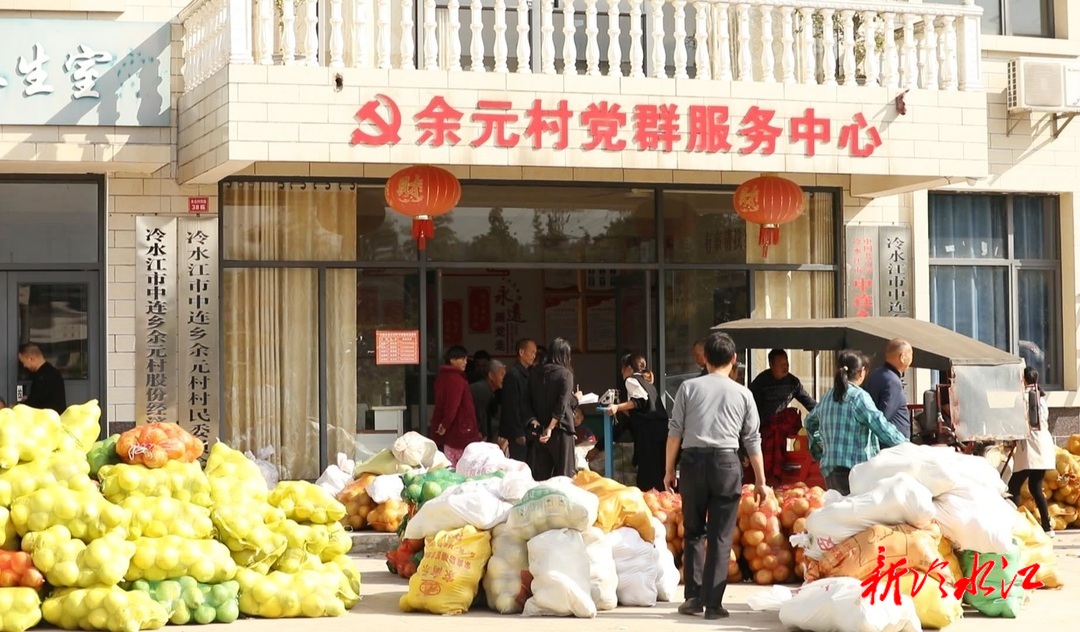 金秋收獲時  冷水江市中連鄉(xiāng)余元村：柚子大豐收  村委收購忙