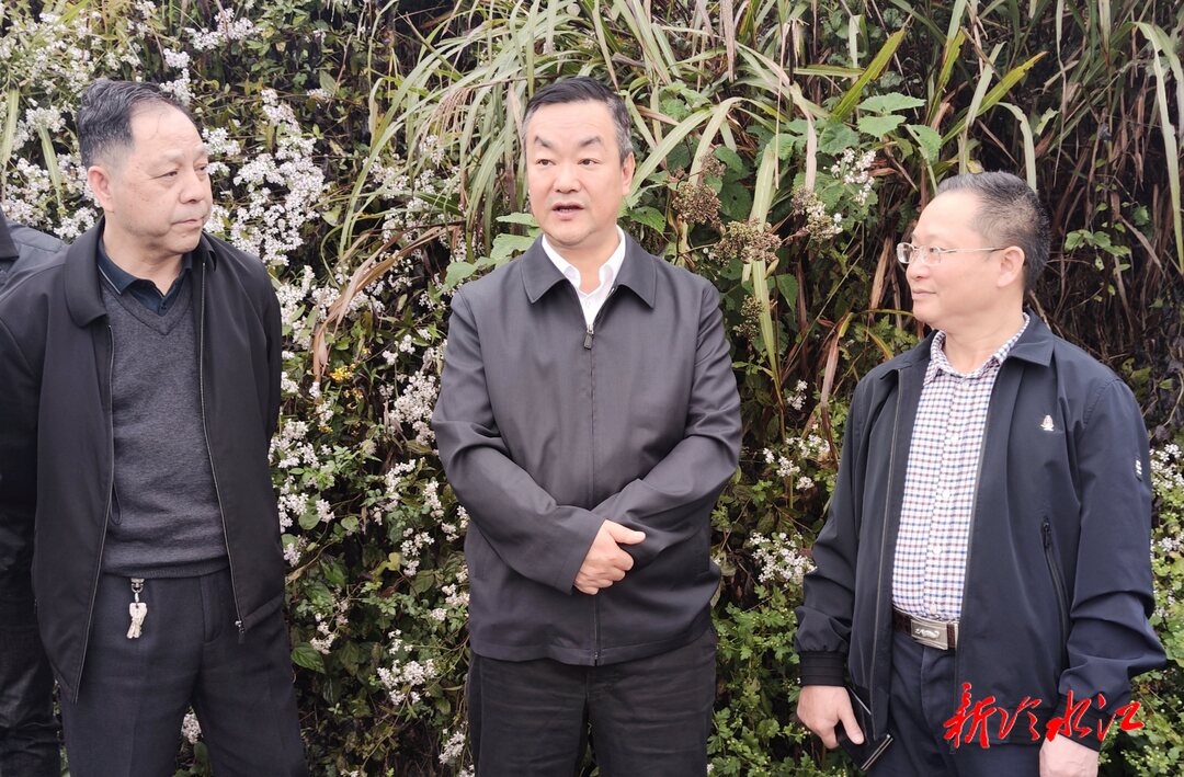 走基層 找問題 想辦法 促發展  陳創業調研鄉村振興等工作