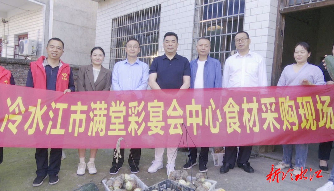 冷水江市非公黨員代表助力爐竹村鄉村振興
