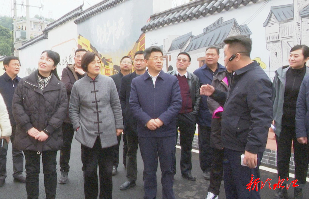 婁底市人大來冷水江視察村級集體經濟發展情況