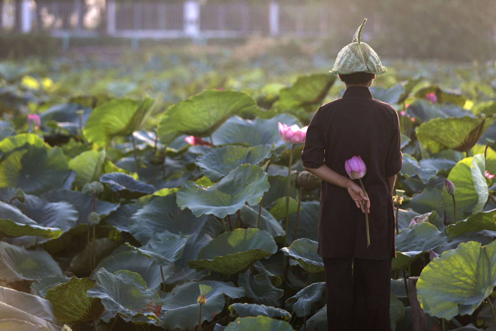 鏡觀世界｜河內(nèi)：在“百花春城”感受千年古城的生機