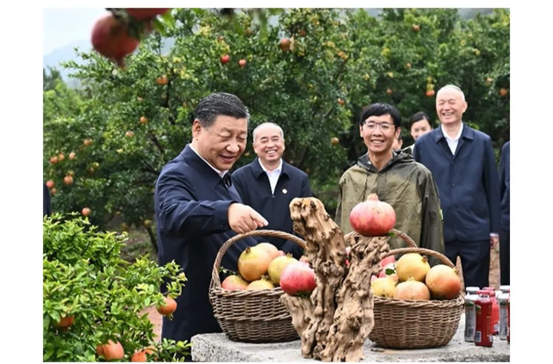 時政微觀察丨“土特產(chǎn)”帶來好日子