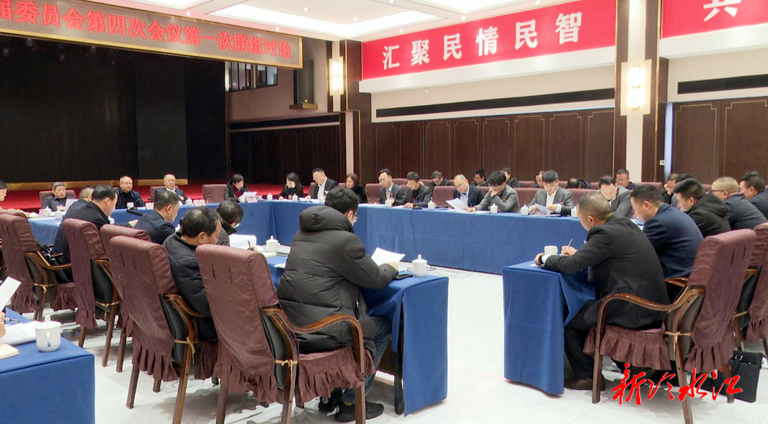 龍騰銻都 | 市政協十一屆四次會議開展分組討論