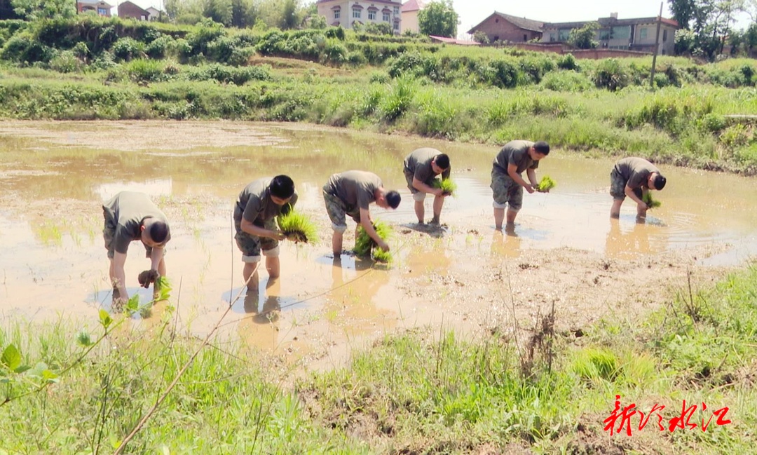 市人武部：基干民兵助春耕 不誤農(nóng)時(shí)保豐收