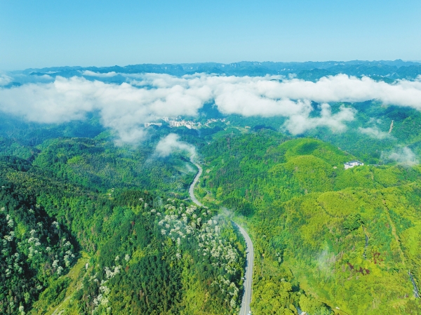 云雾漫青山