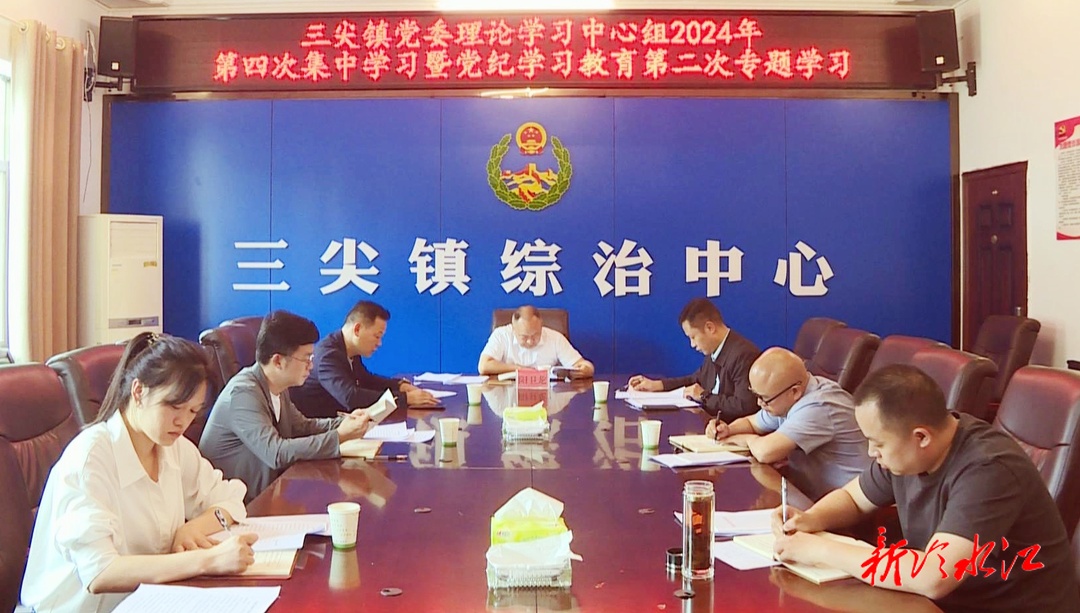 陽衛龍參加三尖鎮黨委理論學習中心組集中學習