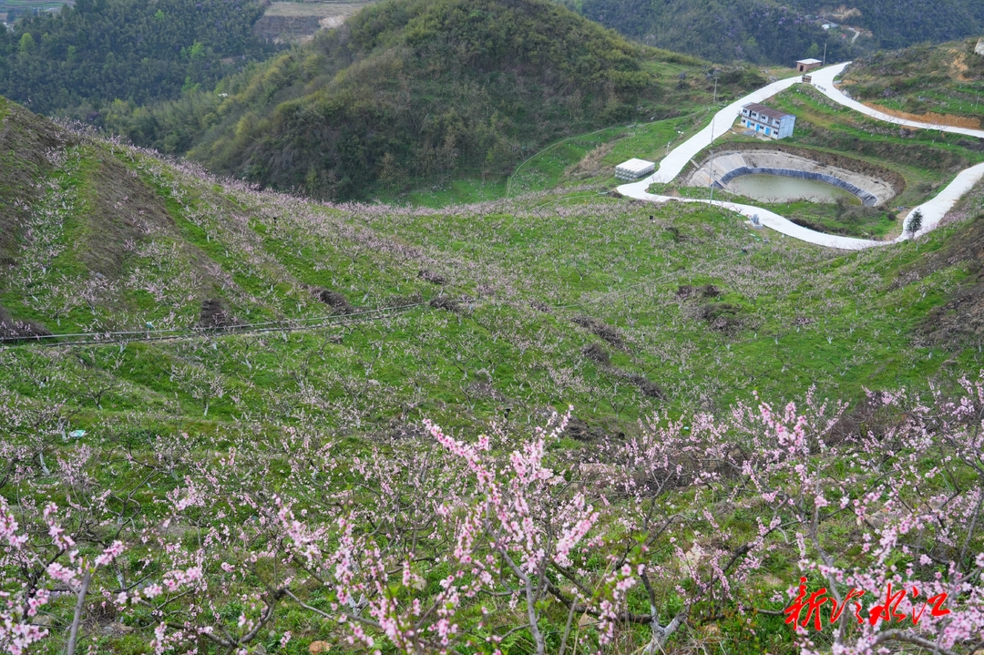 冷水江：修通產業(yè)路 助力產業(yè)興