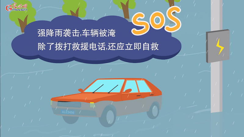 防汛救災在行動丨【動畫】汛期行車需謹慎 車輛被淹這些自救知識要學會！